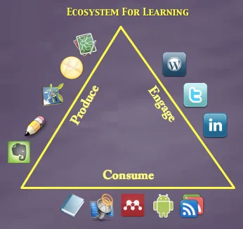 Ecosystem for learning