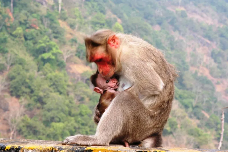motherly care