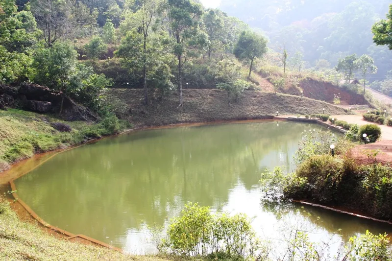 a natural pool