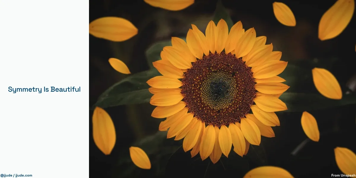 Symmetry is beautiful